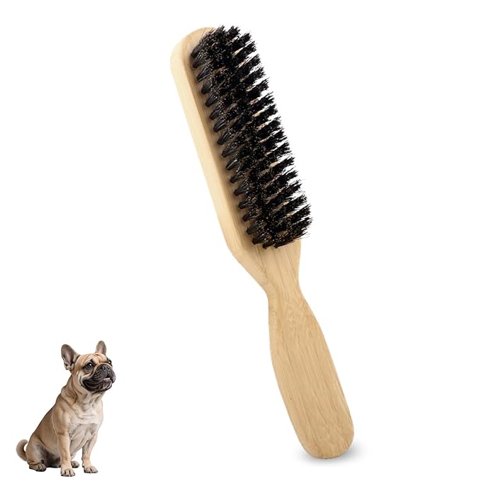 Soft Boar Bristle Dog Brush for Short Haired Dogs - Made of Wood, Gentle Deshedding & Grooming Tool, Ideal Dog Hair Brush for Pets, Dog Brushes for Grooming and Shedding （Small）
