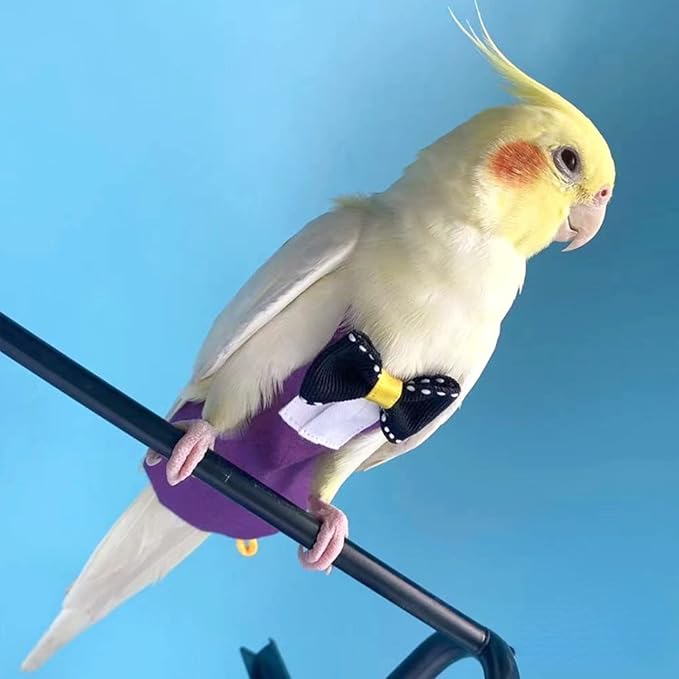 Bird Diaper Harness Flight Suit Clothes with Flying Leash for Parrots Cockatiel Pet Birds, Parrot Clothes, Bird Training Nappy Suit Liners Clothes (S, Purple)