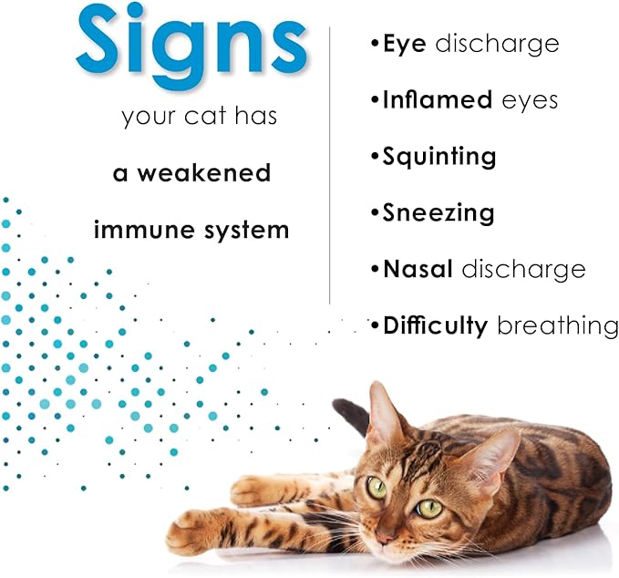 L-Lysine Concentrate for Cats – 2 oz Immune & Respiratory Support Supplement with DMG & Taurine – Helps Relieve Sneezing, Runny Nose, Congestion, Watery Eyes, FHV-1 Symptoms – Made in USA