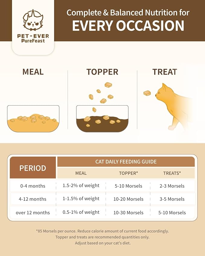 Freeze-Dried Cat Food, 97% Animal Origin Soft Dry Food for Cats Kitten, High Protein Healthy Freeze Dried Cats Raw Treat & Topper (Beef Recipe - 14 Ounce)