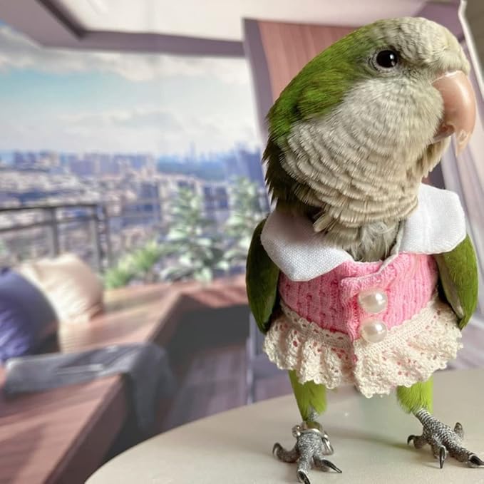 Common Hill Myna Bird Diaper Flight Suit - Pink Top Bird Clothes Cosplay Photo Prop for Parrots, Lovebirds, Parakeets, Cockatiels & Small Animals