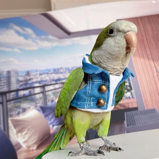Bird Costume Bird Diaper Flight Suit Bird Jeans Fake Two Pieces Bird Clothes Cosplay Photo Prop for Parrots Lovebird Parakeet Cockatiel Small Animals Apparel (Without Diaper,Green-cheeked Conure)