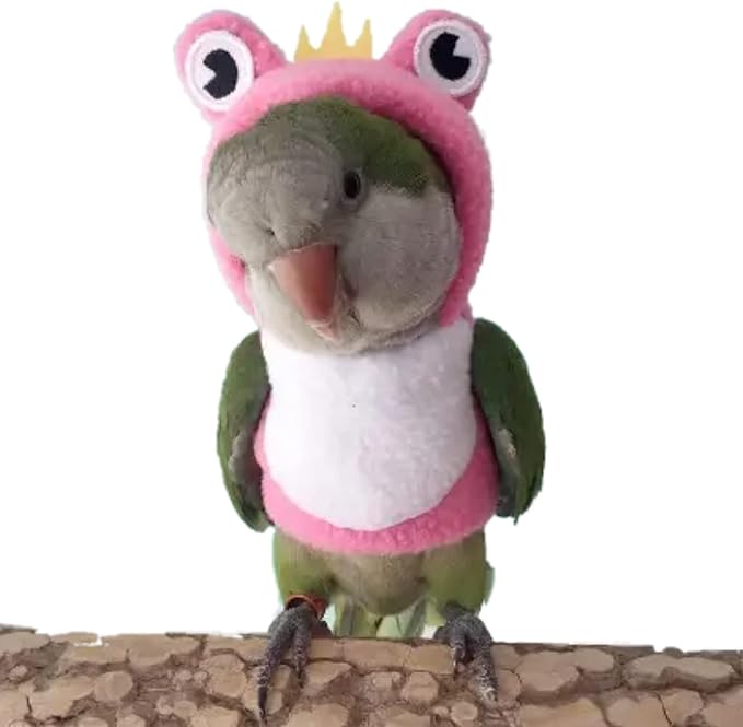 Bird Costume Diaper Flight Suit Frog Shape Hoodie Clothes Cosplay Photo Prop for Parrots Parakeet Cockatiel Sun Conure, Small Animals Apparel (Pink Without Diaper, Medium), Green