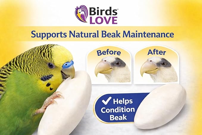 Birds LOVE 5.5 - 6″ Cuttlebones for Birds – 100% Natural Sun-Dried Calcium & Beak Conditioning Supplement for Parakeets, Budgies, Cockatiels, Finches & Canaries – 12 Pack with Holder – Made in Vietnam