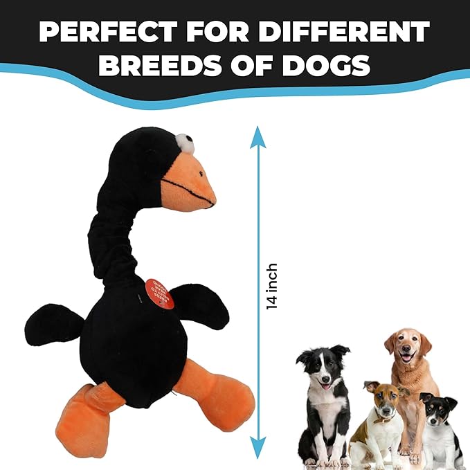 SPOT Chirpies Plush Dog Toy – Bird Sound Squeaky Toy for Small and Medium Dogs, Light to Moderate Chewers, Stretchy Bungee Neck, Recycled Stuffing – 14 in, Assorted Styles