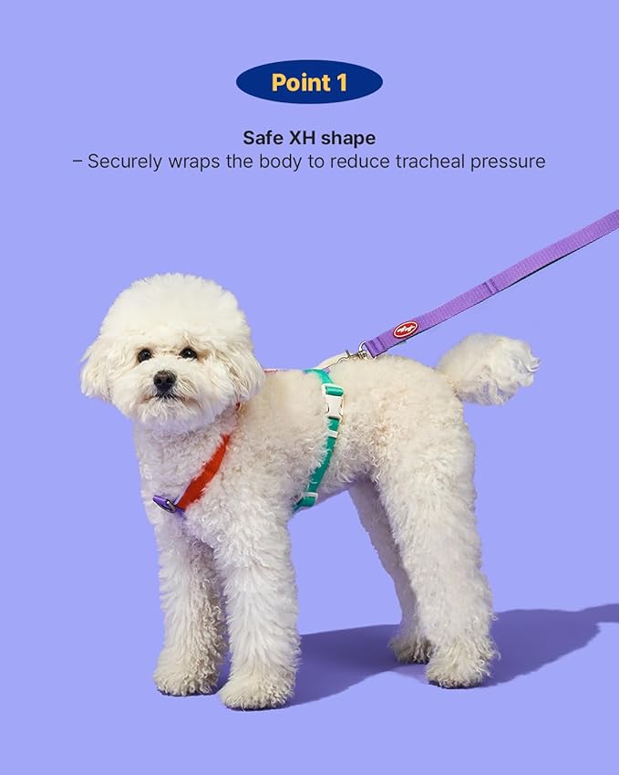 PETHROOM × Wiggle Wiggle Smile We Love Harness Set – Cute Dog Harness with Matching Leash & Backpack, Comfortable Walk & Travel Gear for Small to Medium Dogs, Small
