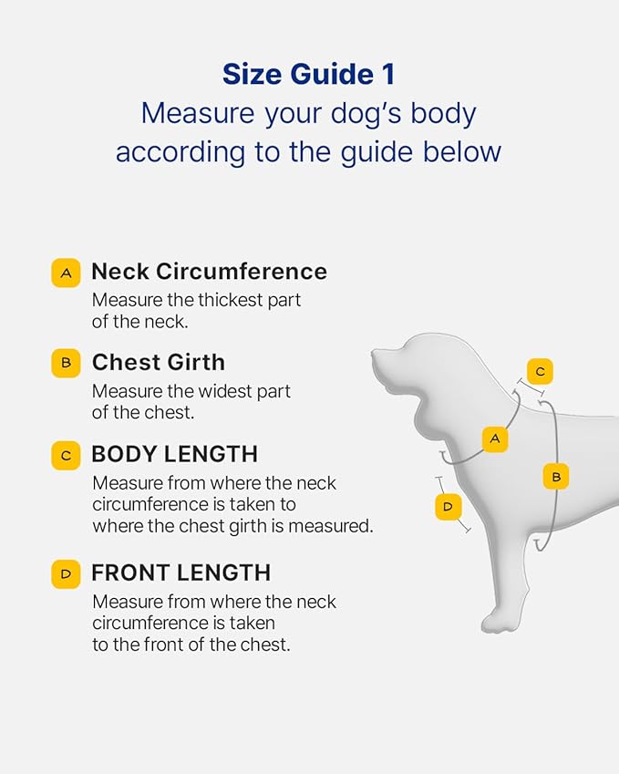PETHROOM × Wiggle Wiggle Smile We Love Harness Set – Cute Dog Harness with Matching Leash & Backpack, Comfortable Walk & Travel Gear for Small to Medium Dogs, Medium