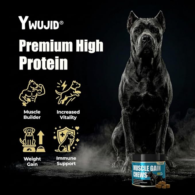 Muscle Gain Chews Dog Weight Gainer Supplements with High Protein & Canine Amino Acids Puppy Vitamins Canine Muscle Builder Formula for Bully & All Breeds Puppies & Adult & Senior Dogs-100 Count