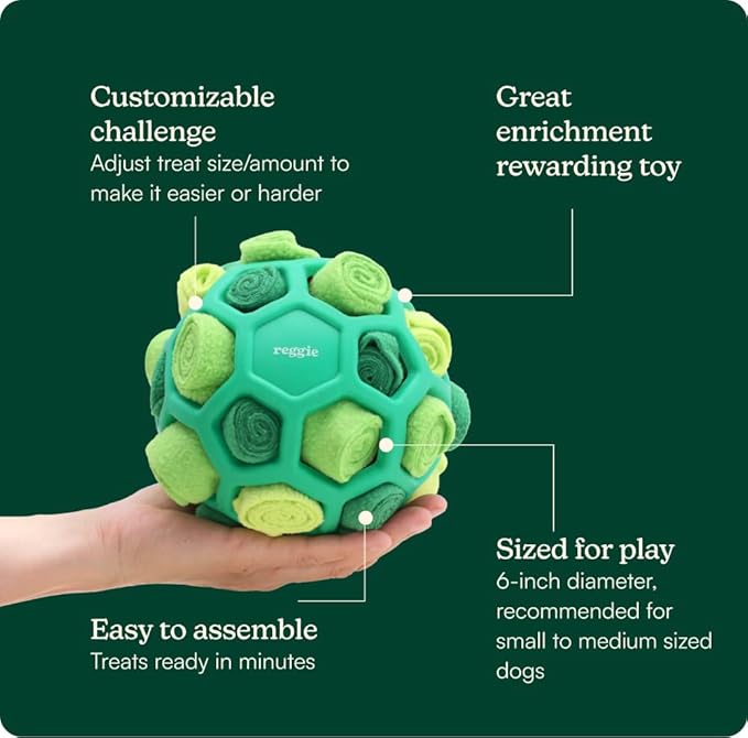 Reggie Dog Training Treats with Enrichment Toy | Turkey & Pumpkin Dog Treats + Forager Ball | Low-Calorie High-Protein Rewards | Mental Stimulation for Dogs | 340 Treats