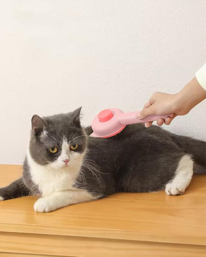 4PCS Cat Scratcher Bowl Set, Durable Cardboard Cat Scratcher Bed, Beginner-Friendly for Cats, No Shedding, Oval Lounger Design, Eco-Friendly & Long-Lasting