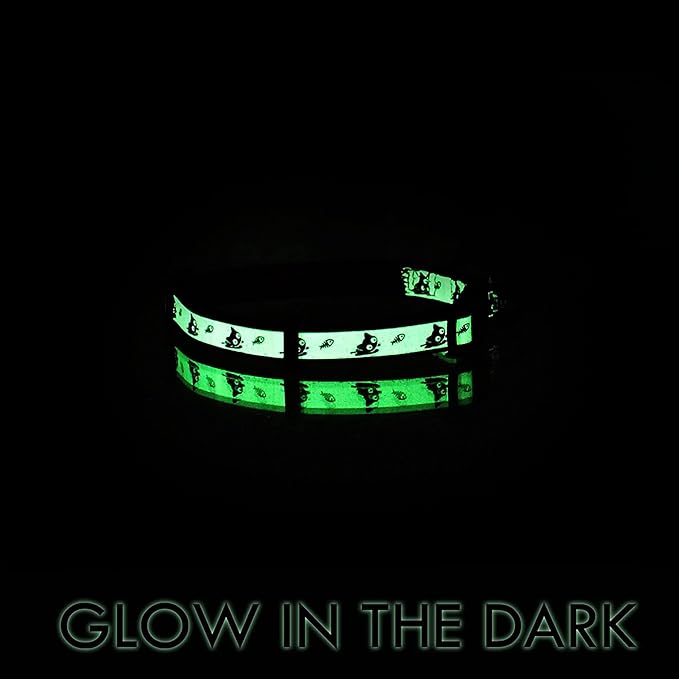 Pawtitas Glow in The Dark Cat Collar with Breakaway Safety Buckle & Bell Adjustable Kitten Collar, Teal
