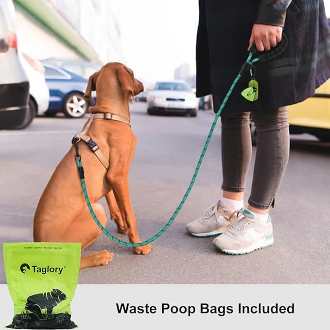 Taglory Rope Dog Leash 5 FT with Comfortable Padded Handle, Highly Reflective Threads Leash and Anti-Tangle Clip for Walking Small Dogs, 3/8 inch, Turquoise
