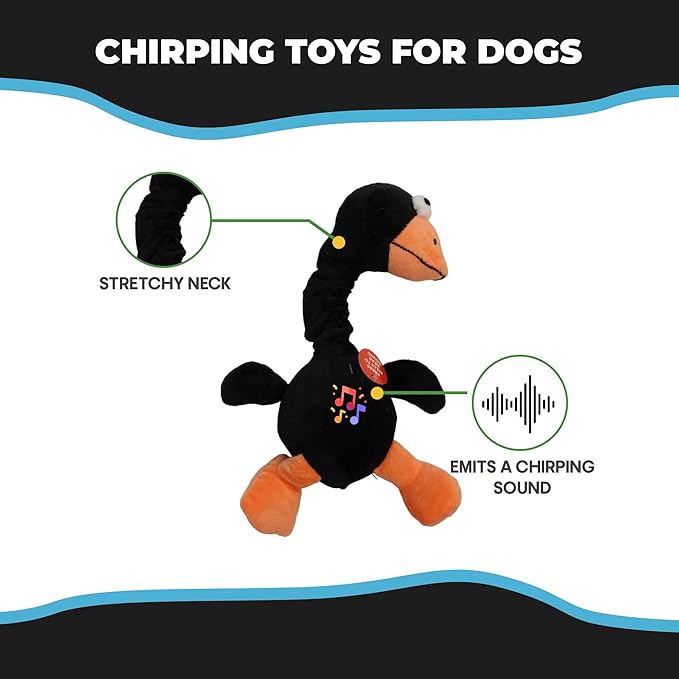 SPOT Chirpies Plush Dog Toy – Bird Sound Squeaky Toy for Small and Medium Dogs, Light to Moderate Chewers, Stretchy Bungee Neck, Recycled Stuffing – 14 in, Assorted Styles