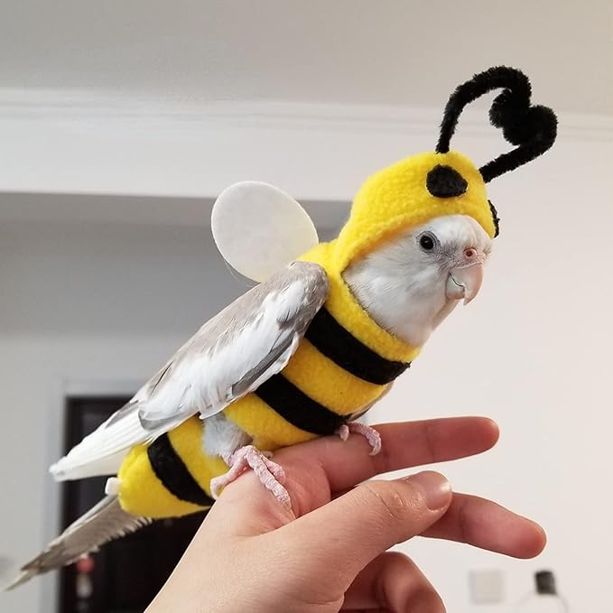 Bird Costume Diaper Flight Suit Bee Shape Hoodie Clothes Cosplay Photo Prop for Parrots Parakeet Cockatiel Sun Conure, Small Animals Apparel (Bee with Diaper, X-Large), Green (BPF1)