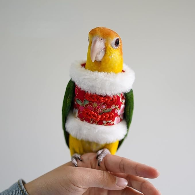Bird Costume Flight Suit Clothes Cosplay Photo Prop for Parrots Parakeet Cockatiel Sun Conure, Hoodie Small Animals Apparel (Red, Small), Green