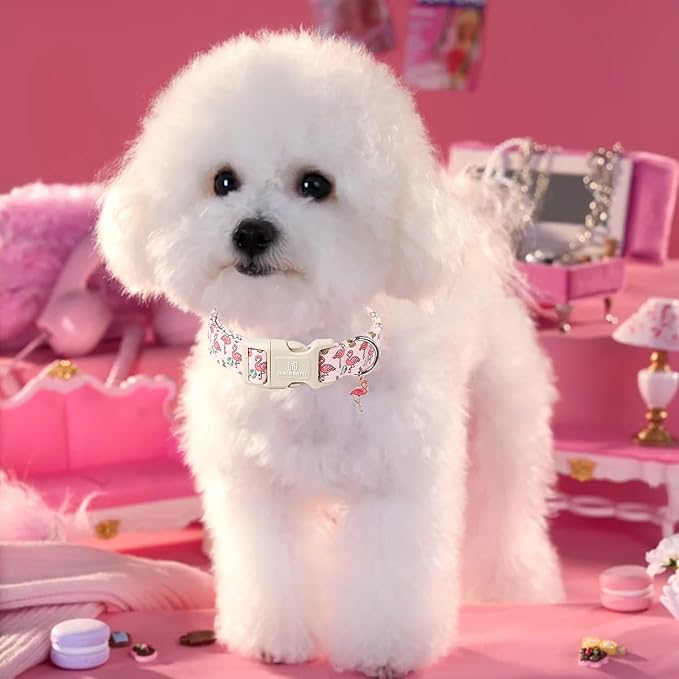 Maca Bates Cute Pink Flamingo Dog Collar Summer Puppy Collars for Extra Small Girl Boy Dogs,Spring and Summer Styles,Durable,Soft,Thick,Adjustable for Female Male Pet with White Safety Buckle