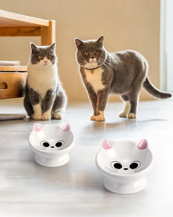 2Pcs Raised Cat Food Bowl Ceramic 15° Tilted Cat Food Bowls Protect Cat's Spine Anti Vomiting Backflow Prevention Bowls for Adult, Kitten, and Small Dogs, Pink