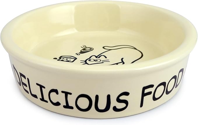 TTcat Ceramic Cat Feeder, 5.1in Shallow Design Food Bowl, Small Pet Dishes for Cats, Kitten, Dishwasher Safe