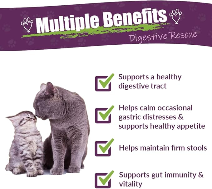 Amber NaturalZ Kitty-DT Digestive Rescue Herbal Supplement for Cats | Supports Normal Digestive Function and Occasional Gastric Upsets | Natural Aid for Gastrointestinal Health 1 Fluid Ounce
