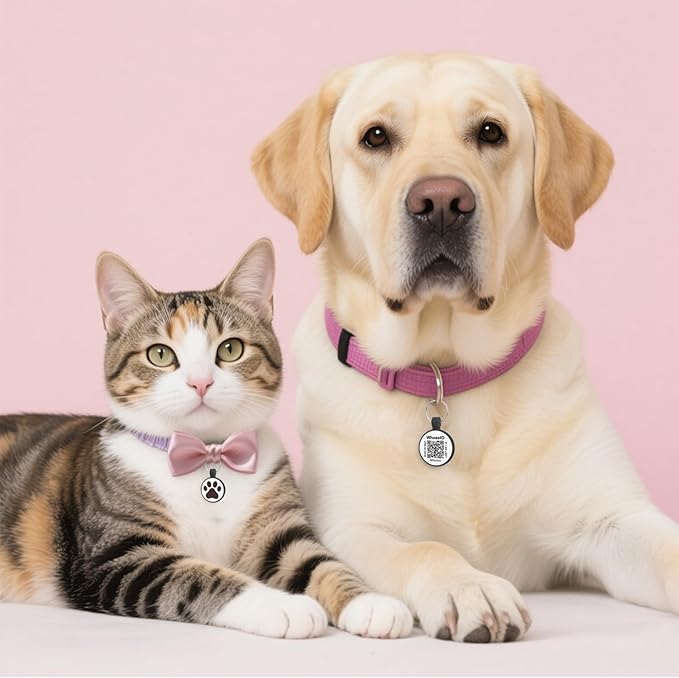 WhoseID QR Code Cat Tag, Modifiable Pet Online Profile, Multiple Emergency Contact, Scannable QR Code, Instant Location Email Alert (Medium to Large Breeds - 1.25", Black & Orange & Red & Green)