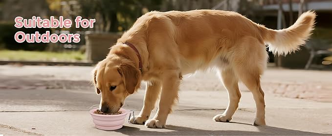 2-Pack, LeeRound Large Collapsible Dog Bowls, Food-Grade Silicone Collapsible Bowl, Travel Dog Bowls for Pet Cat Feeding Water and Food Camping&Hiking Meet Needs Different Scenarios Feeding Essentials