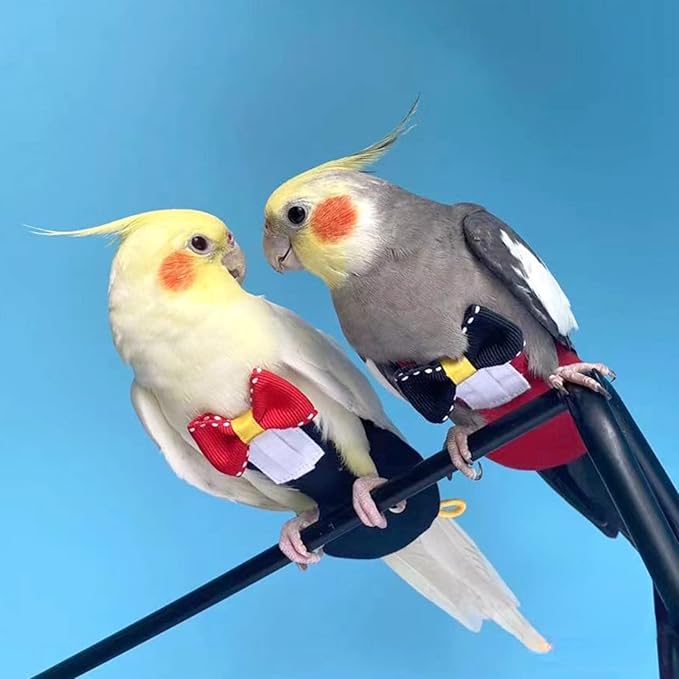 Bird Diaper Harness Flight Suit Clothes with Flying Leash for Parrots Cockatiel Pet Birds, Parrot Clothes, Bird Training Nappy Suit Liners Clothes (L, Red)