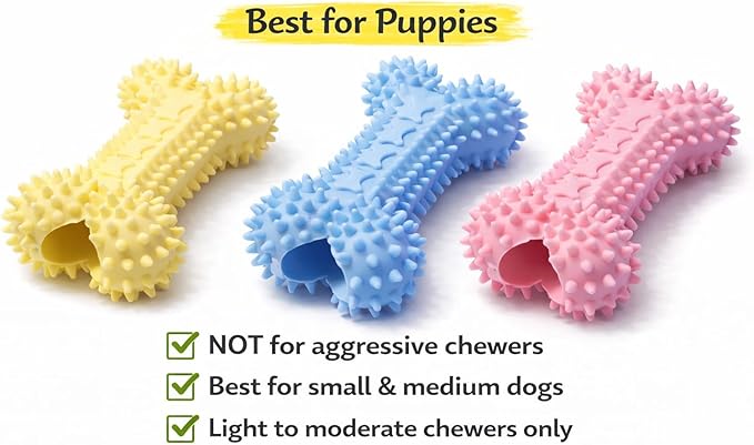 Chewzzle™ Dog Chew Toys for Small Dogs & Puppies | Soft TPR Textured Bones for Light to Moderate Chewers | 3-Pack Vibrant Colours, Safe & Engaging Design