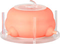 Puppy Feeder for Multiple Puppies, Pet Milk Feeder with Silicone Dog Nursing Station of 4, Puppy Milk Replacer for Puppies/Kittens