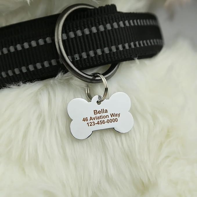 Personalized Dog Cute Paw Pet ID Tag for Pet Collar or Key Chain - cat Name tag, Personalized cat id tag, Kitten Name tag, Kitten id tag (Bone-Shaped-Small: Light Gold)