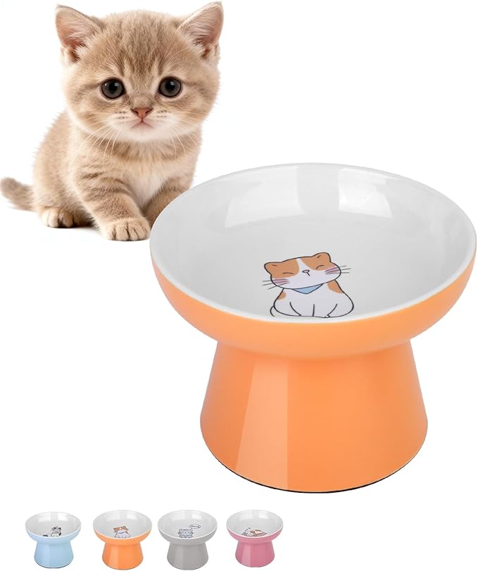 Ceramic Raised Cat Bowl, Elevated Cat Food Bowl with Non-Slip Base,Whisker Friendly Shallow Feeder for Dry & Wet Food, Dishwasher Safe, Anti Vomiting (Orange)
