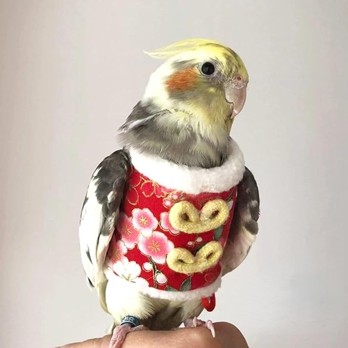 Bird Clothes, Bird Diapers, Handmade Pullover Sweaters Flight Suits Winter Warm Clothing, Role-Playing Photos Prop (Pink,2M)