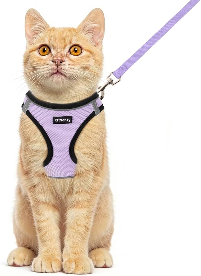 Rttochfy Cat Harness and Leash Set, Escape Proof Kitten Harness, Soft and Breathable Vest with Reflective Strip, Easy to Wear for Cats Walking and Traveling (BK Purple, XXS)