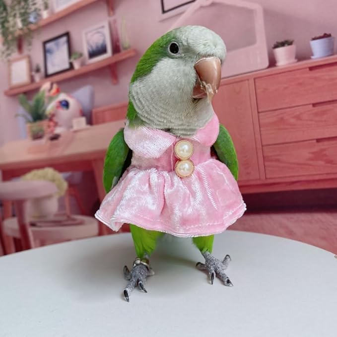 Bird Costume Bird Diaper Flight Suit Parrot Velvet Fleece Skirt Clothes Cosplay Photo Prop for Conure Lovebird Parakeet Cockatiel Macaw Small Animals Apparel (Pink,2M)