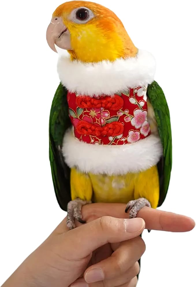 Bird Costume Bird Flight Suit Bird Clothes Cosplay Photo Prop for Parrots Parakeet Cockatiel Sun Conure, Bird Hoodie Small Animals Apparel (Red, Medium)