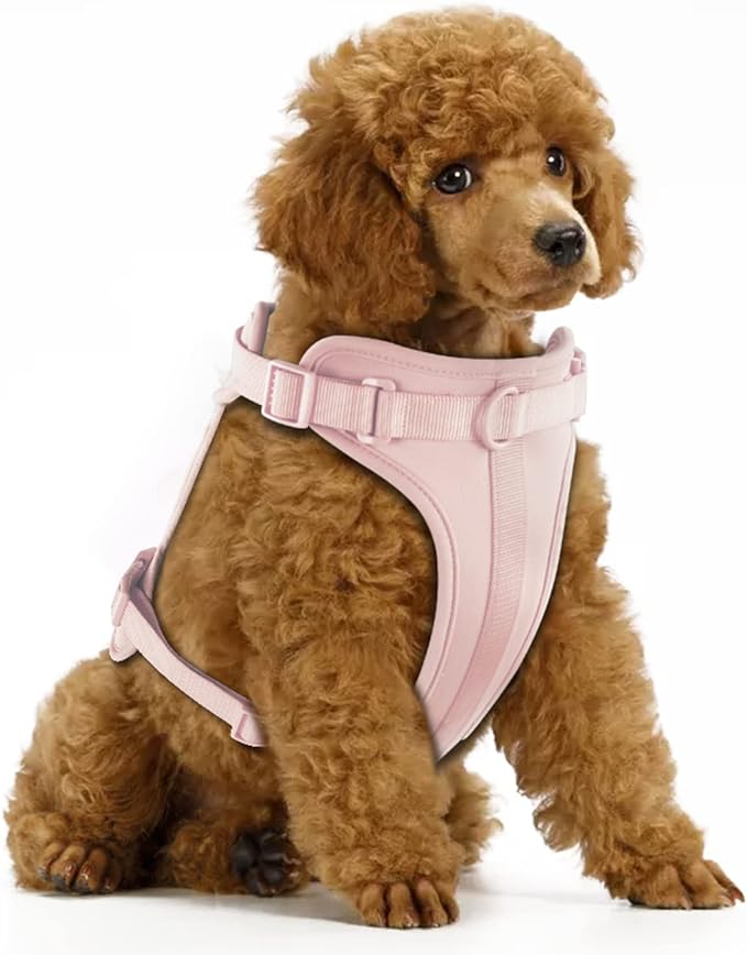 Wisedog No Pull Lightweight Dog Vest Harness with Soft and Comfortable Cushion, Breathable Mesh, for Small Medium Large Dogs Walking (S(Neck: 9.84"-14.17";Chest: 14.17"-22.05"), Gossamer Pink)