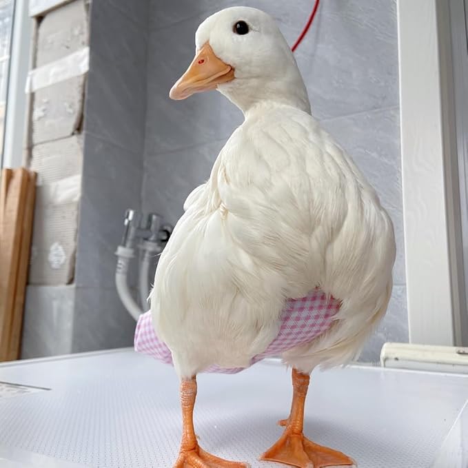 Duck Diapers, Chicken Diapers, Special Diapers for Poultry, Chicken, Duck and Goose Waterproof, Adjustable, Washable and Reusable Diapers，Poultry Supplies, Duck Supplies (3.31LB-4.41LB)