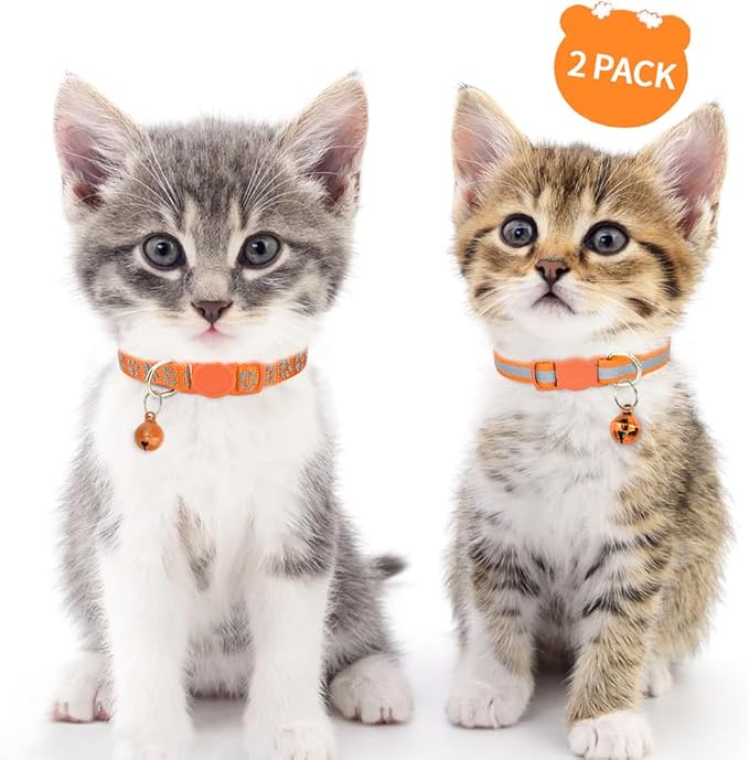 Taglory Kitten Collar Breakaway with Bell, Reflective Soft Cat Collar for Small Kittens, Adjustable 6-8 Inch High Visibility Night Strip, Lightweight for 2-6 Months Baby Cats, 2 Pack, Orange