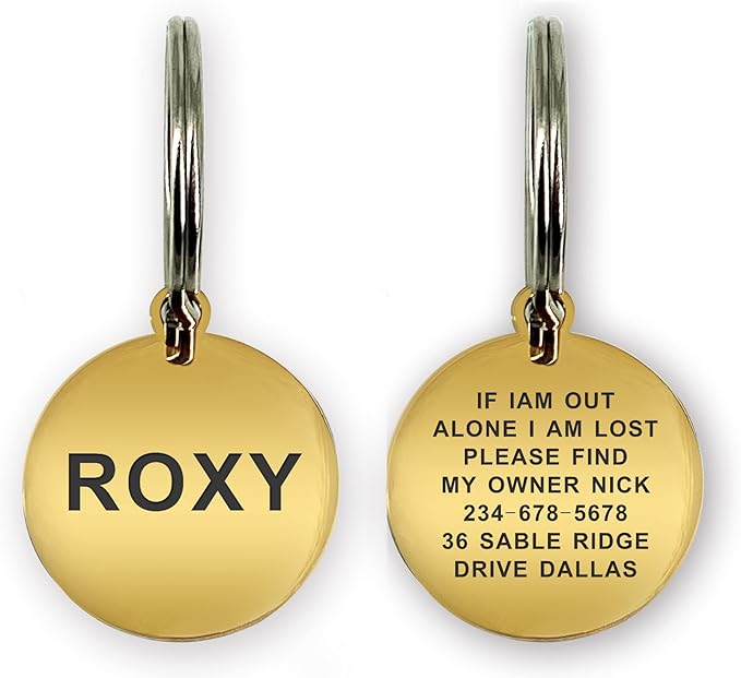 Dog Tags Engraved for Pets Personalized Dog Name Tags Dog ID Tags Small Cat Tags Large Dog Collar Tags Custom Text Stainless Steel Engraved on Both Sides(L Gold)