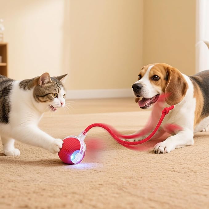 Interactive Electric Automatic Rolling Moving USB Rechargeable Self Activated Play Stimulation Toy Smart Chase Teaser Ball with Rope for Bored Adult Indoor Kitten & Cat and Puppy & Dog, Red