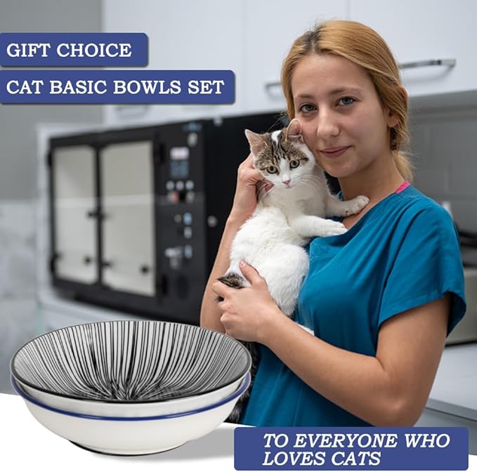 HAPPY KIT 2pcs Ceramic Cat Food Bowls for Indoor Cats Set,5.7 inch Colorful Cute Feeding Plate with Non Slip Mat,8.5oz Cat Dish/Dishes,Wide Shallow Bowl Whisker Friendl