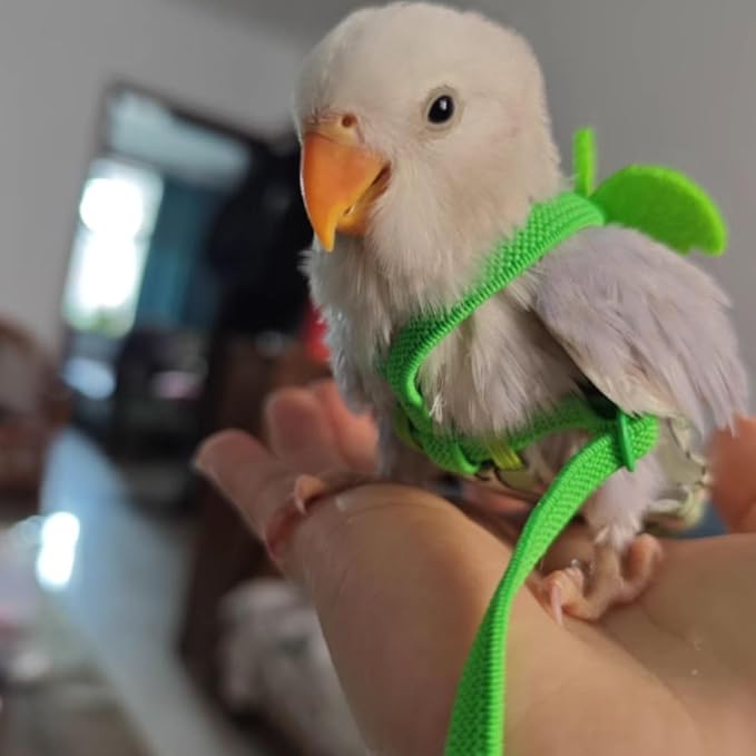 Adjustable Bird Diaper Harness Flight Suit Clothes with 80 Inch Flying Leash Rope for Parrots Conure Cockatiel (Yellow,Macaw)