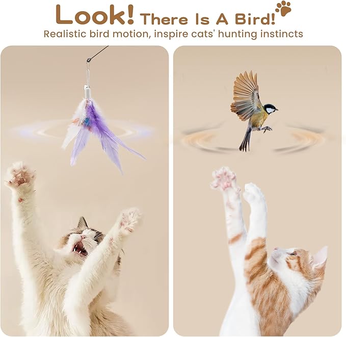 Pawaboo Feather Teaser Cat Toy, Interactive Feather Wands Cats Toy Flying Feathers Cat Catcher with Extra Long 34.5" Wand and Small Bell, Exerciser Playing Toys, 1 Wand + 10 Feathers, Multicolored