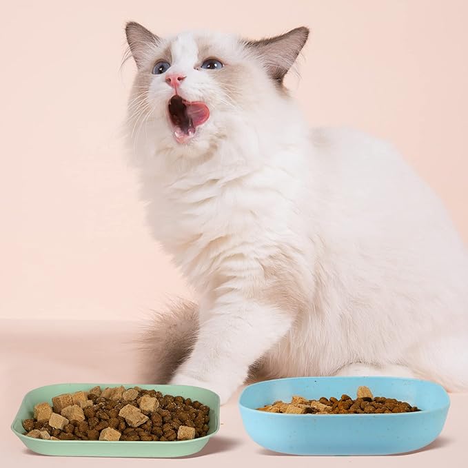 8 Pieces Cat Food Bowl Set, 6 inch Wide Shallow Cat Bowl for Relief Whisker Fatigue,Small Flat Cats Dish, Shallow Pet Feeding Dish or Plate for Kittens and Small Dogs