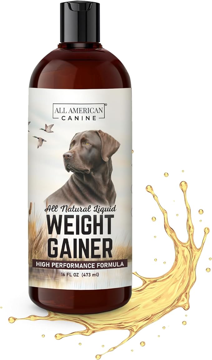 All American Canine Dog Weight Gainer Liquid – High Calorie Dog Food Supplement for Rapid Weight Gain, Mass, and Recovery – Appetite Stimulant – 60 Servings