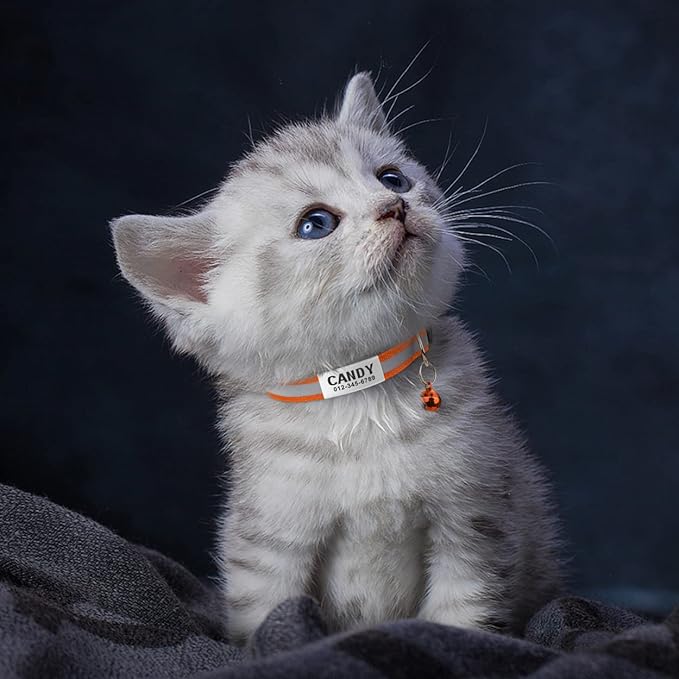 TagME 2 Pack Cat Collar with Name Tag, Personalized Reflective Cat Collar Breakaway with Bell for Boy & Girl Kitten, Orange