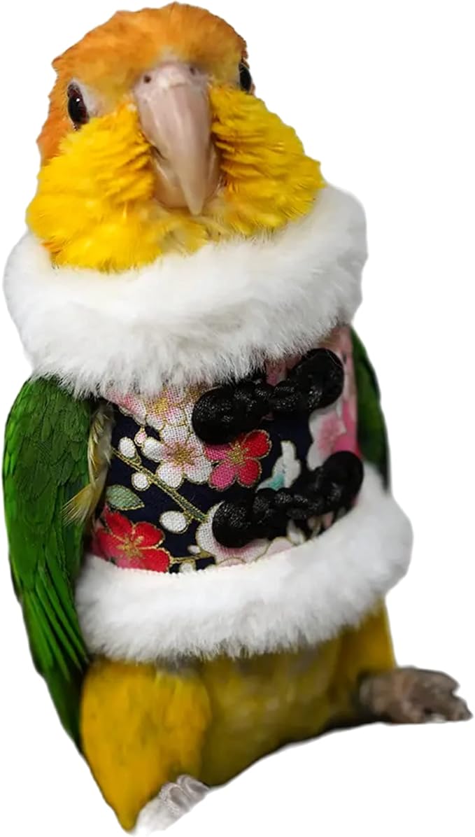 Bird Flight Suit & Clothes Cosplay Photo Prop for Parrots, Parakeet, Cockatiel & Sun Conure - Bird Hoodie Small Animals Apparel (Black, X-Large)