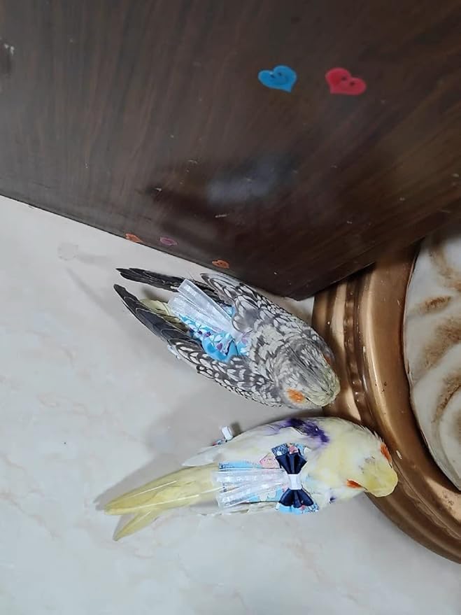 Bird Flight Suits Diapers, Parrot Diapers for Monk Parakeets, Cockatiels, Parrot Clothes Costume, Bird Training Nappy Suit Liners Clothes (Small,Blue-C)