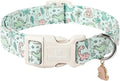 Maca Bates Spring Green Cute Dinosaur Basic Dog Collar for Small Boy Girl Dogs,Durable Soft Adjustable Collars Gift for Male Female Puppy Pet with Safety White Buckle