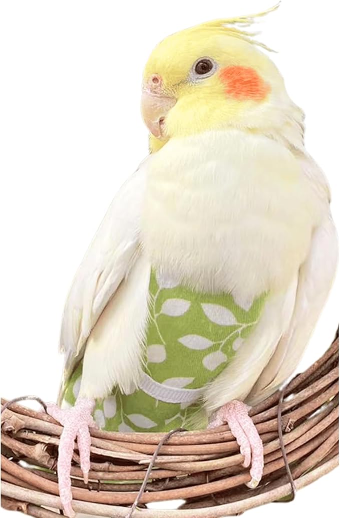 Bird Diaper Harness Flight Suit Clothes, Parrot Flight Suit with Leash for Parrot, Bird Flying Clothes with Rope for Outdoor Activities Training (Green Without Leash,Macaw)