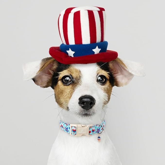 Maca Bates 4th of July Basic Dog Collar with Safety Buckle American Flag Patriotic 4 of 7 Dogs Collars Adjustable Soft Blue Independence Day Gift for Small Medium Large XL Boy Girl Male Female Puppy